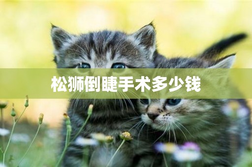 松獅倒睫手術多少錢