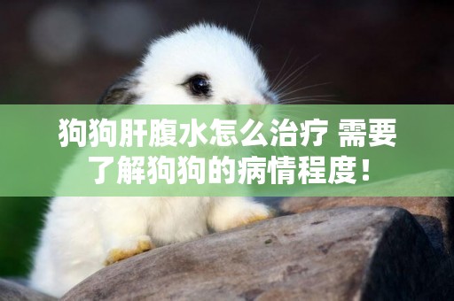狗狗肝腹水怎么治療 需要了解狗狗的病情程度！