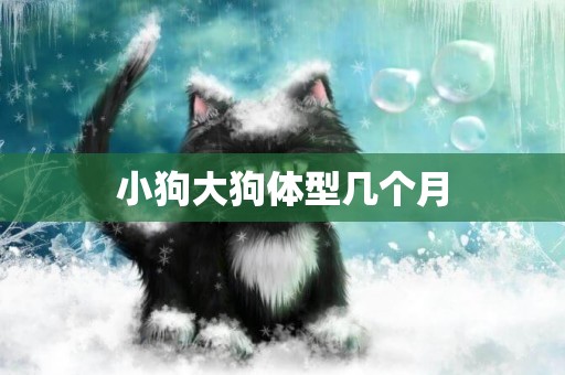 小狗大狗體型幾個月