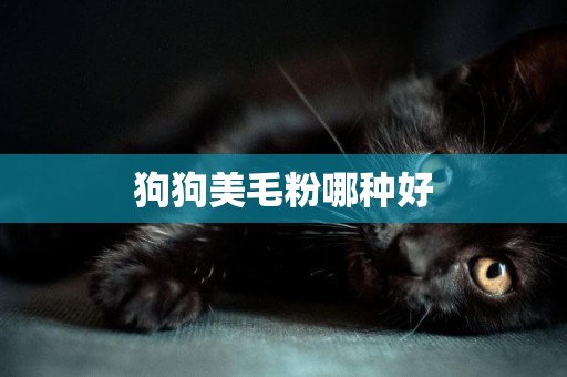 狗狗美毛粉哪種好