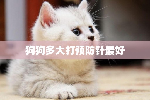 狗狗多大打預防針最好