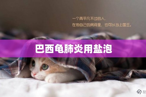 巴西龜肺炎用鹽泡