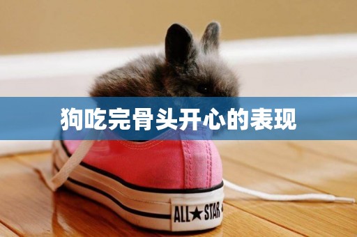 狗吃完骨頭開心的表現
