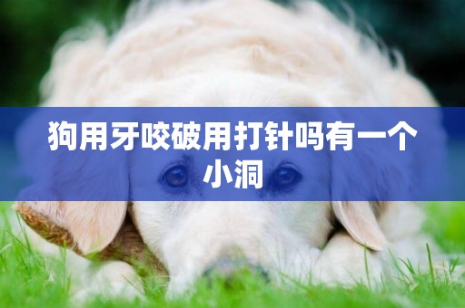 狗用牙咬破用打針嗎有一個小洞