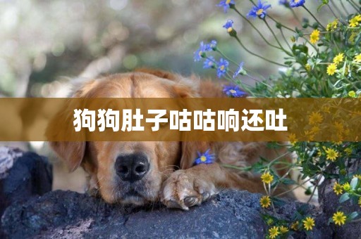 狗狗肚子咕咕響還吐
