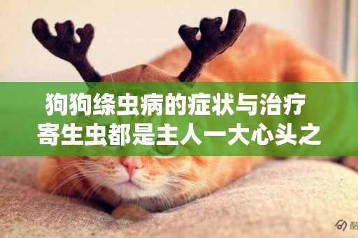 狗狗絳蟲病的癥狀與治療 寄生蟲都是主人一大心頭之患！