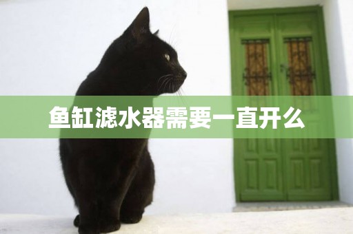 魚缸濾水器需要一直開么
