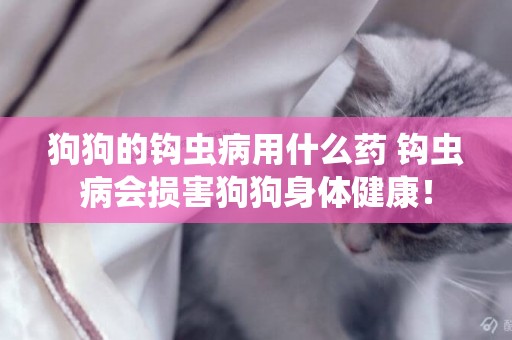 狗狗的鉤蟲病用什么藥 鉤蟲病會損害狗狗身體健康！