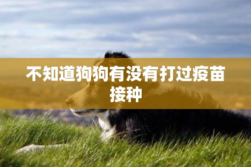 不知道狗狗有沒有打過疫苗接種