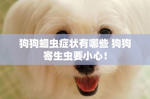 狗狗蛔蟲癥狀有哪些 狗狗寄生蟲要小心！