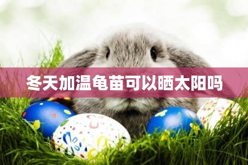 冬天加溫龜苗可以曬太陽嗎