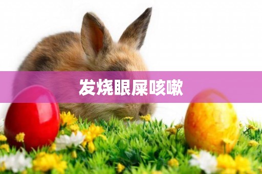 發燒眼屎咳嗽