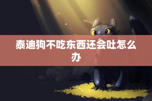 泰迪狗不吃東西還會吐怎么辦