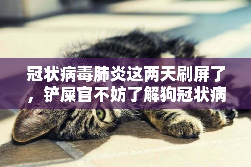 冠狀病毒肺炎這兩天刷屏了，鏟屎官不妨了解狗冠狀病毒