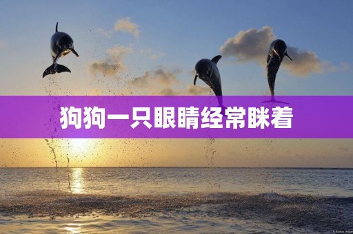狗狗一只眼睛經常瞇著