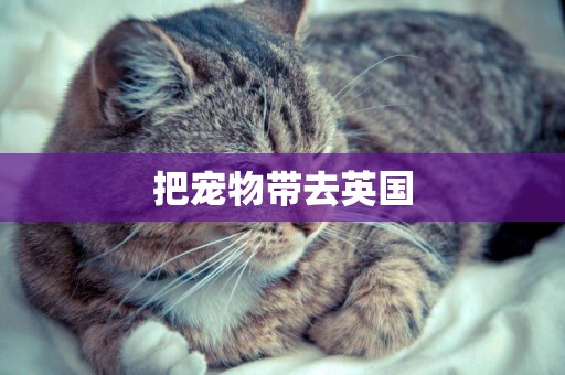 把寵物帶去英國