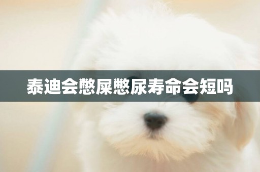 泰迪會憋屎憋尿壽命會短嗎