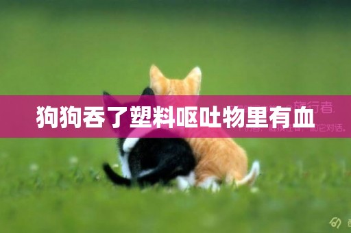 狗狗吞了塑料嘔吐物里有血