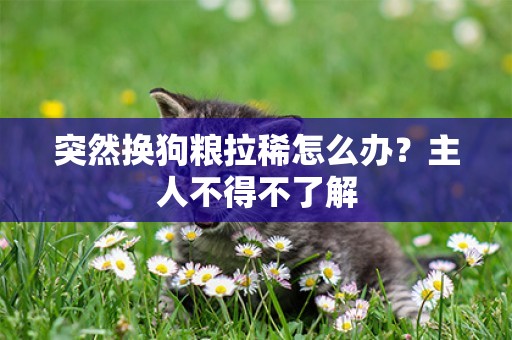 突然換狗糧拉稀怎么辦？主人不得不了解