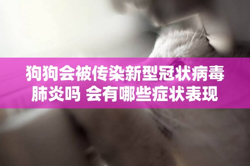 狗狗會被傳染新型冠狀病毒肺炎嗎 會有哪些癥狀表現？