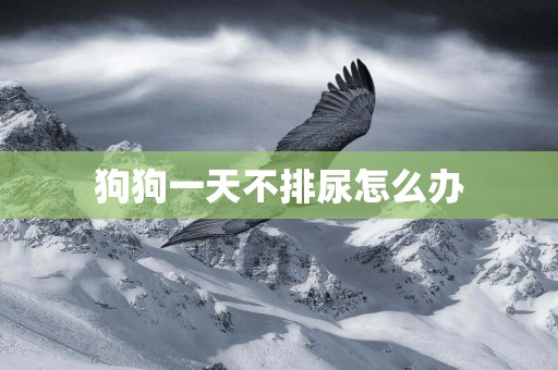 狗狗一天不排尿怎么辦