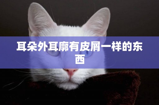 耳朵外耳廓有皮屑一樣的東西