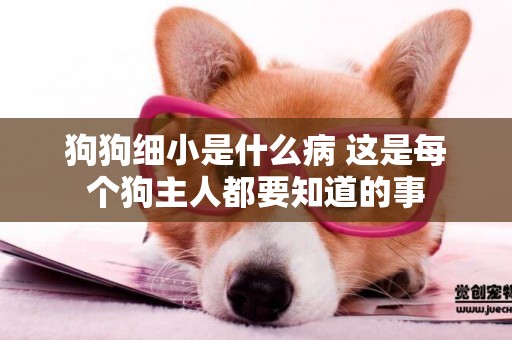狗狗細小是什么病 這是每個狗主人都要知道的事