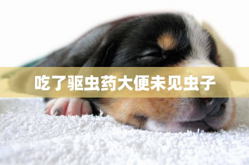 吃了驅蟲藥大便未見蟲子