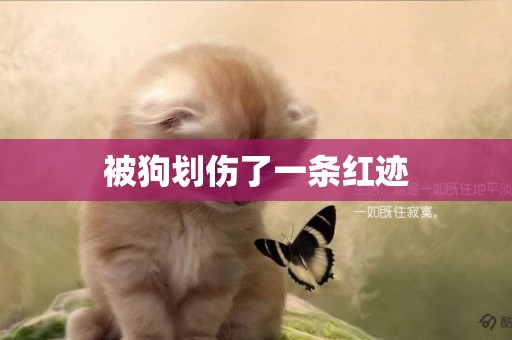 被狗劃傷了一條紅跡