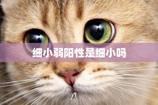 細小弱陽性是細小嗎