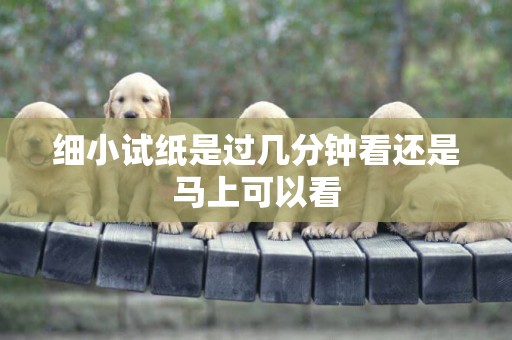 細小試紙是過幾分鐘看還是馬上可以看