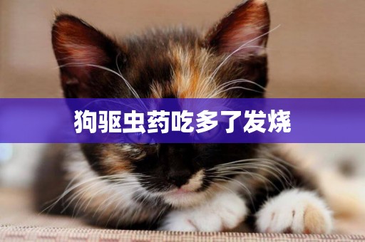 狗驅蟲藥吃多了發燒