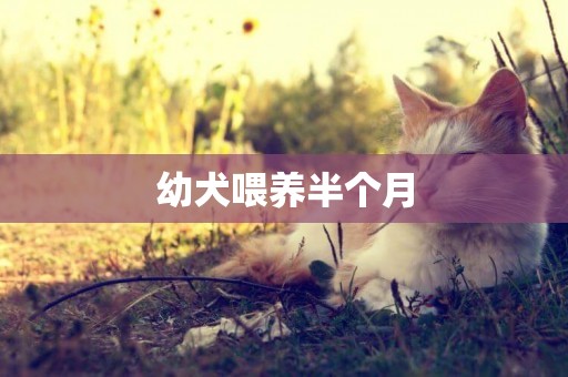 幼犬喂養半個月