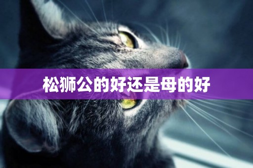 松獅公的好還是母的好