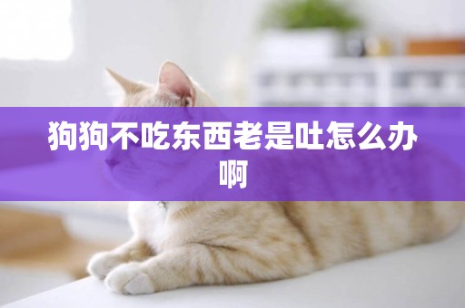 狗狗不吃東西老是吐怎么辦啊