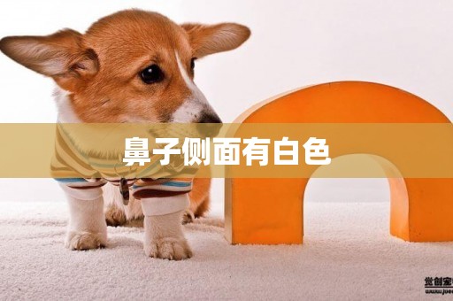 鼻子側面有白色