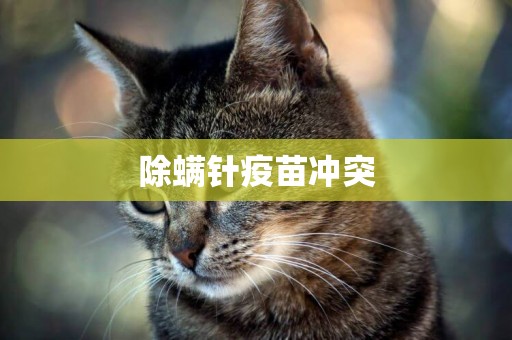 除螨針疫苗沖突