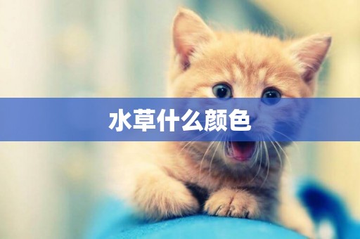水草什么顏色