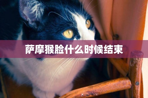薩摩猴臉什么時候結束