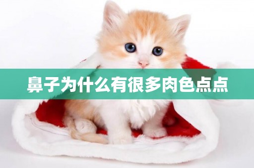 鼻子為什么有很多肉色點點