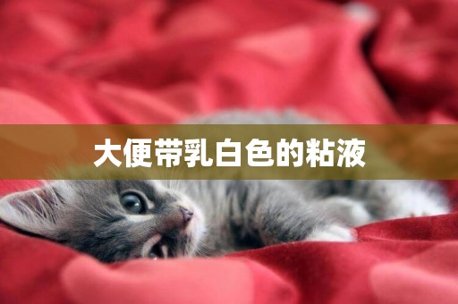 大便帶乳白色的粘液