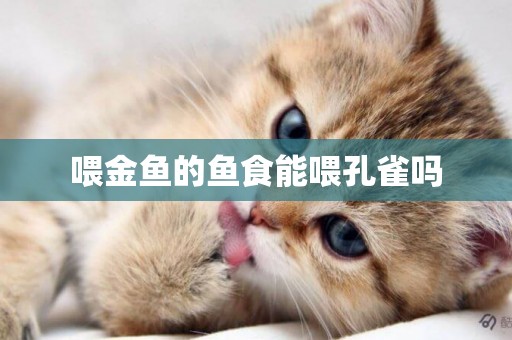 喂金魚的魚食能喂孔雀嗎