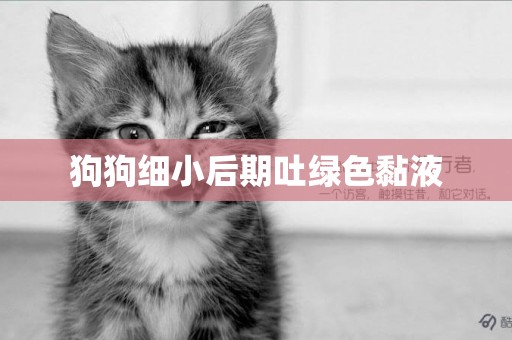 狗狗細小后期吐綠色黏液