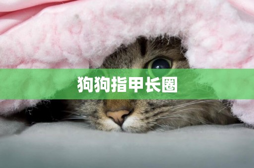狗狗指甲長圈