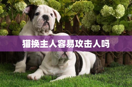 貓換主人容易攻擊人嗎