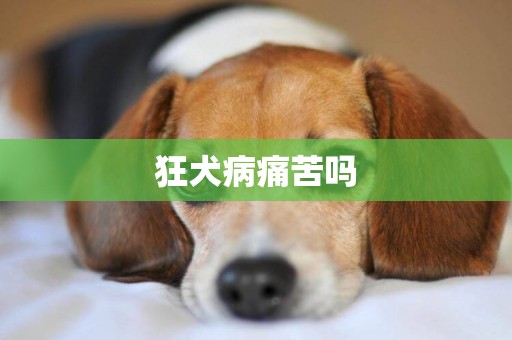 狂犬病痛苦嗎