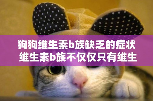 狗狗維生素b族缺乏的癥狀 維生素b族不僅僅只有維生素b! 狗狗維生素b族缺乏的癥狀 維生素b族不僅僅只有維生素b!