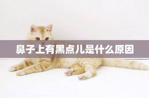 鼻子上有黑點兒是什么原因
