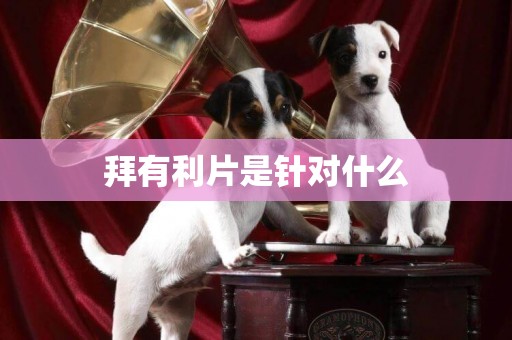 拜有利片是針對什么