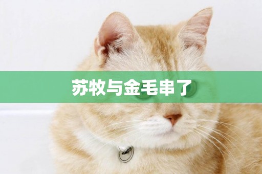 蘇牧與金毛串了